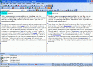 @promt Office Translator English-French screenshot